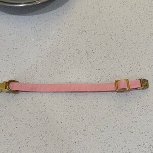 Dog collar. Pink Adjustable Strap with Gold Hardware. Size extra small.